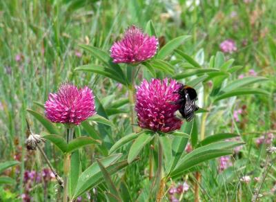 Прикрепленное изображение: 222DSCF1245.jpg